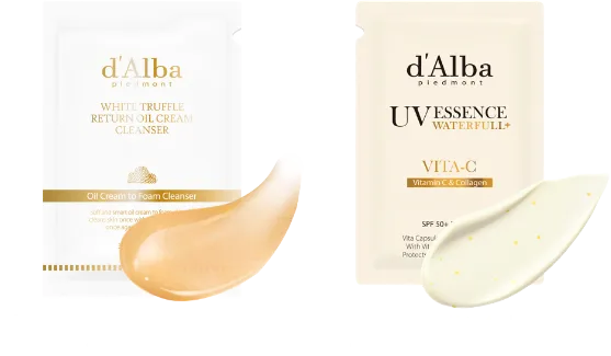 ダルバ プレゼント